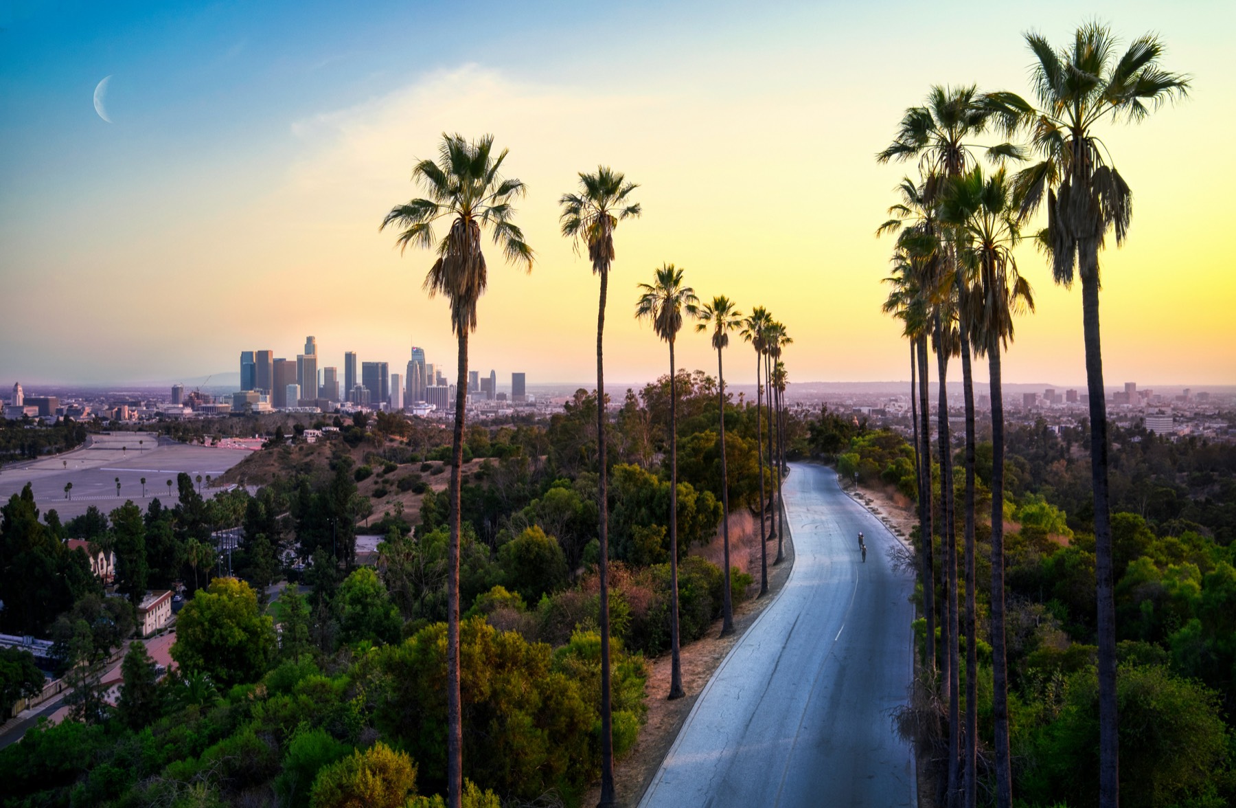 A palm-lined road leading toward the downtown Los Angeles skyline at dusk