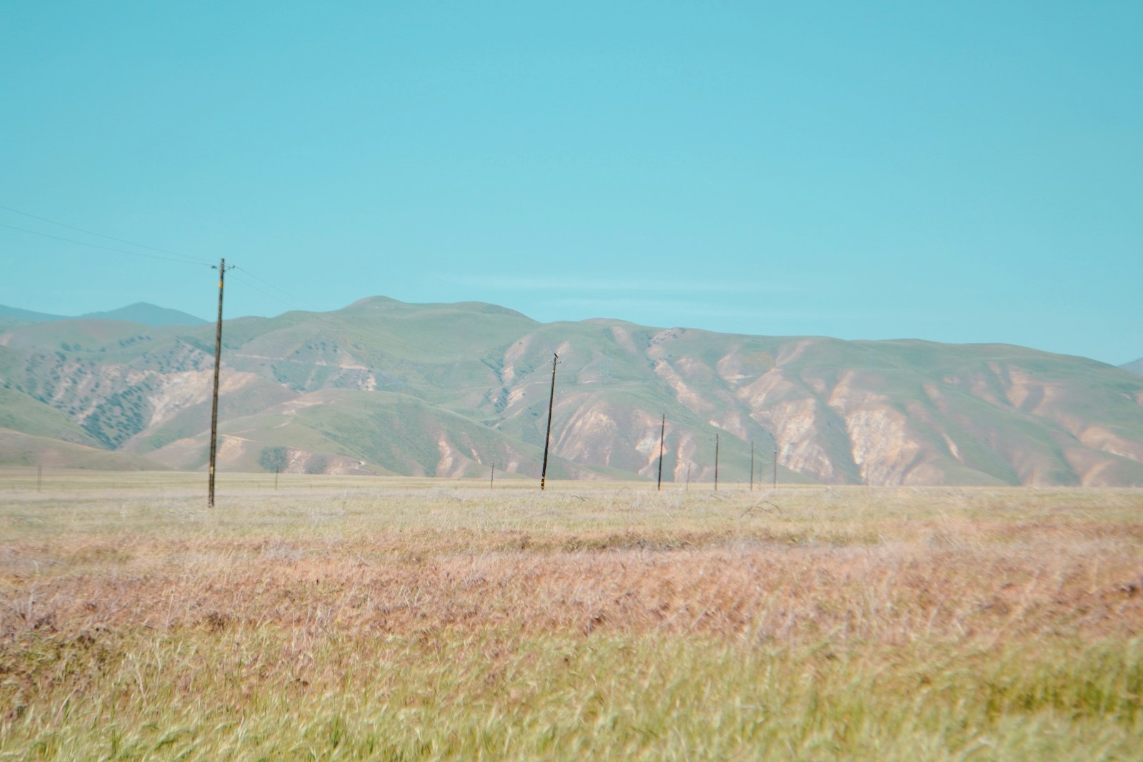 Open dry grassland running to distant hills, with a line of power poles crossing the parcel