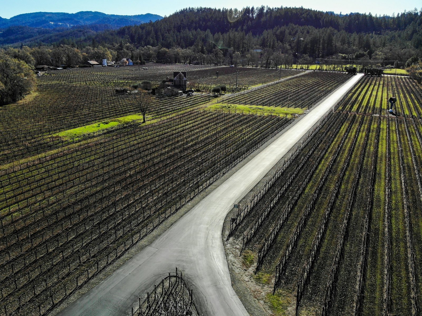 Aerial view of dormant vineyard blocks divided by a paved farm road